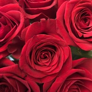 Meet your Posher, Elia